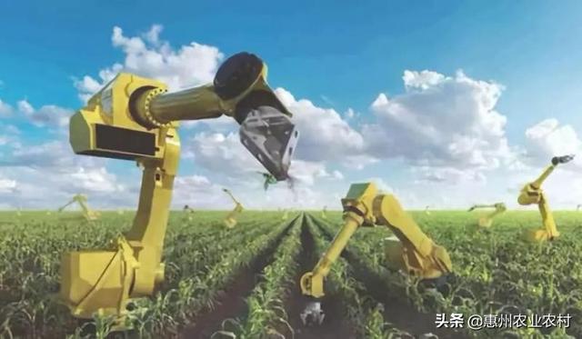 行业深度|中国农业基本现状和发展趋势